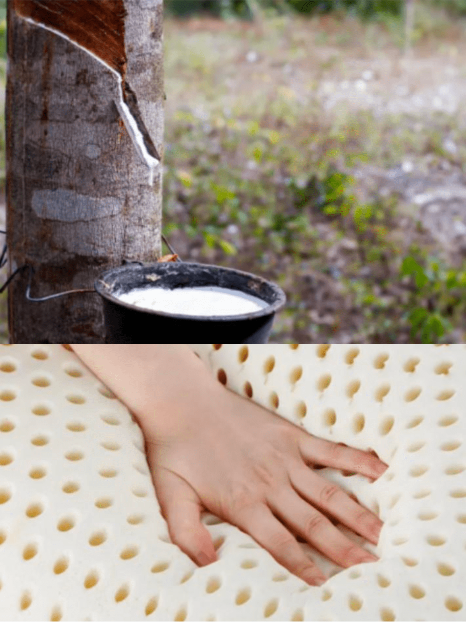 床墊材質四:乳膠床墊